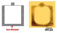 An AND gate made for bio-computing