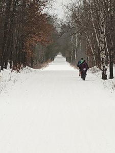 Beautiful Trail