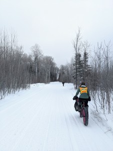 Bicycles on snow heading into the woods