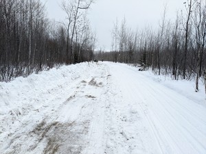 Construction on the trail